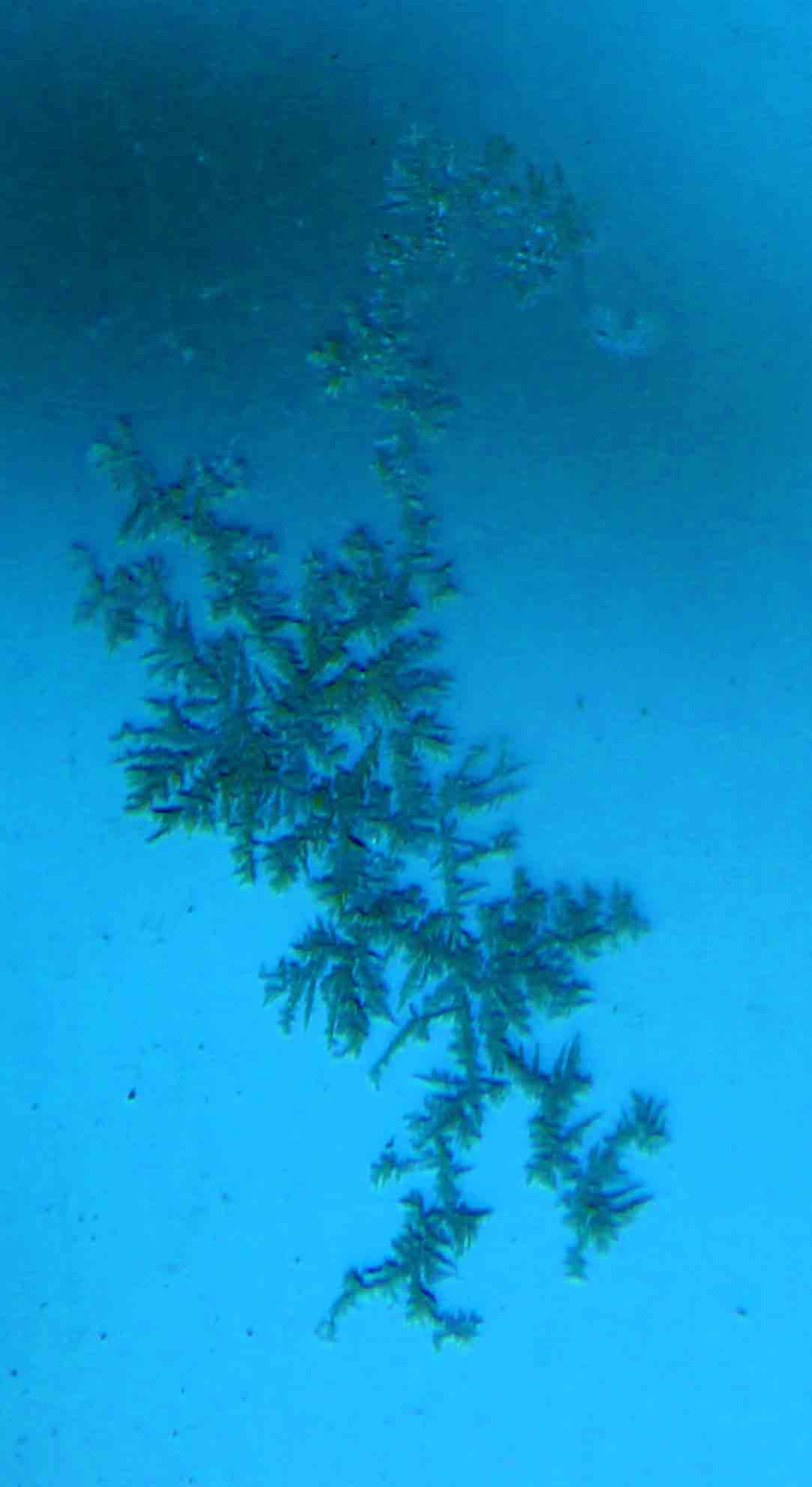 Austin Art Exhibition