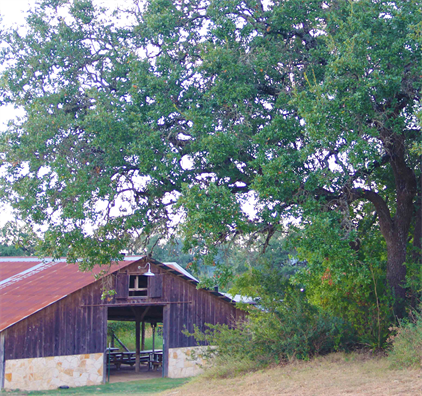 Austin Texas Brewery
